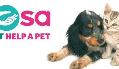 PDSA Free Will Campaign